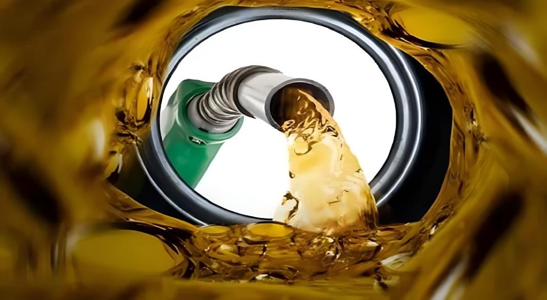 ফাইল ছবি।