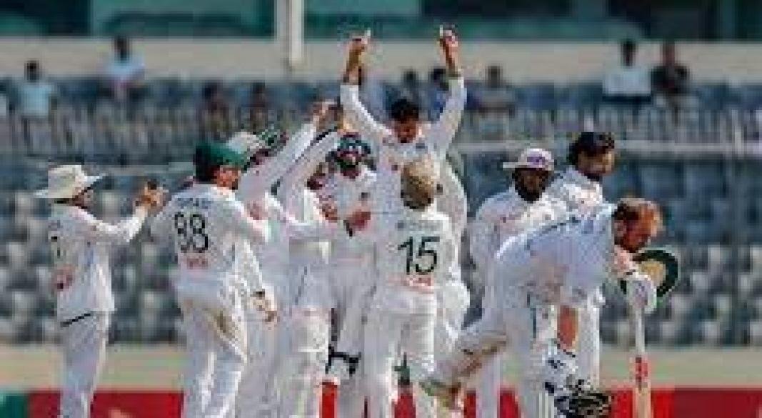 দেশের ক্রিকেটের নতুন রাজা তাইজুল। ছবি: সংগৃহীত