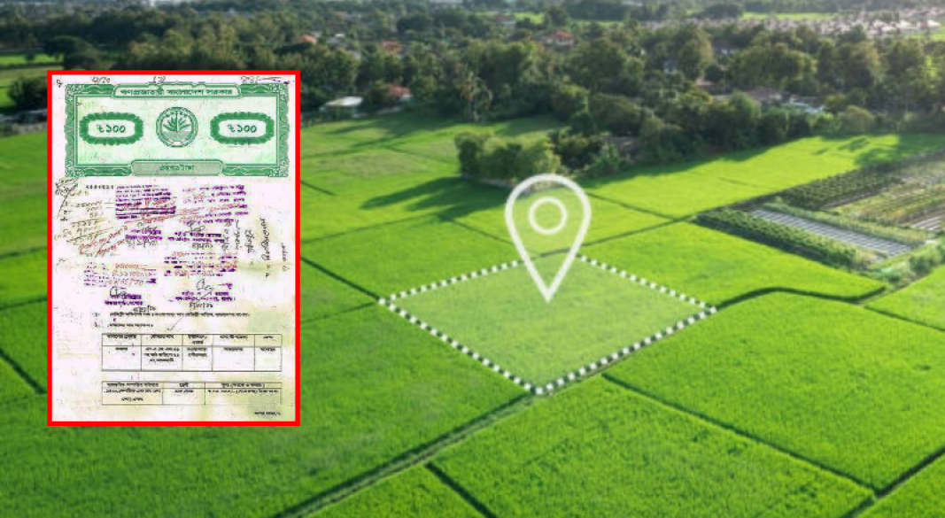দলিল না থাকলেও যেসব প্রমাণ বলবে আপনিই জমির মালিক