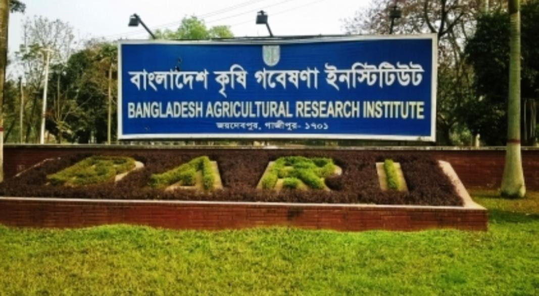 আবেদন না করেই পেলেন সরকারি চাকরি